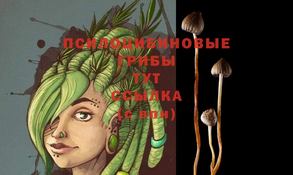 трава Алзамай